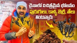 Read more about the article China Strange Street Food | Uma Telugu Traveller