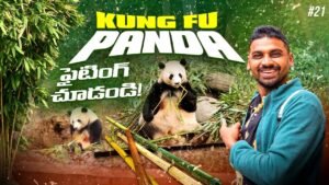 Read more about the article Giant Panda Base | Fighting Baby Panda | Chengdu China 🇨🇳 | Uma Telugu Traveller