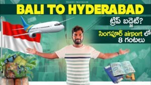 Read more about the article Bali to Hyderabad via Singapore | Bali trip budget | Telugu Traveller