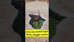 Read more about the article Floating In Salt Lake | Africa | Ethiopia Floating Pool | ##Trending #Viral #umatelugutraveller