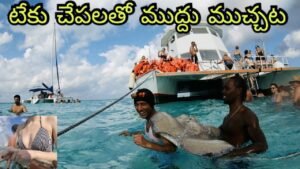 Read more about the article Grand Cayman Stingray City | Telugu Traveller | Things To Do In Grand Cayman | Naa Anveshana