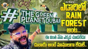 Read more about the article Green Planet Dubai||Exotic Birds || Indoor Rainforest || Dubai Telugu Videos|| Telugu Travel Vlogger