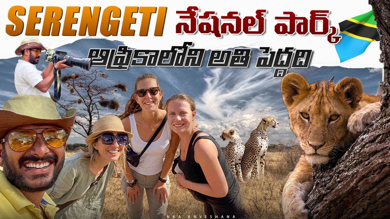 Watch The Incredible Animal Migration of the Serengeti National Park in