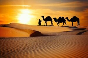 Read more about the article Desert Area in Rajasthan: Unforgettable Journey into India’s Vast Sands