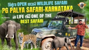 Read more about the article PG Palya Forest Safari || MM Hills Wildlife Sanctuary Karnataka|| Telugu Travel Vlogger || Strikers