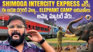 Read more about the article Shimoga Intercity Train Journey|| Sakrebyle Elephant Camp || Adivasi Hakki Pikka Herbal Hair oil