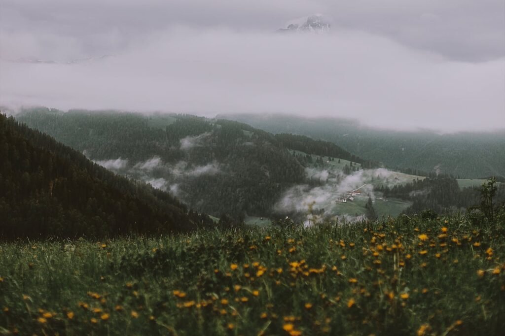 Best Places to Visit in June in India: Beat the Heat, Not Your Budget! 11 best-places-to-visit-in-june-in-india-valley-of-flowers-2-gotrify