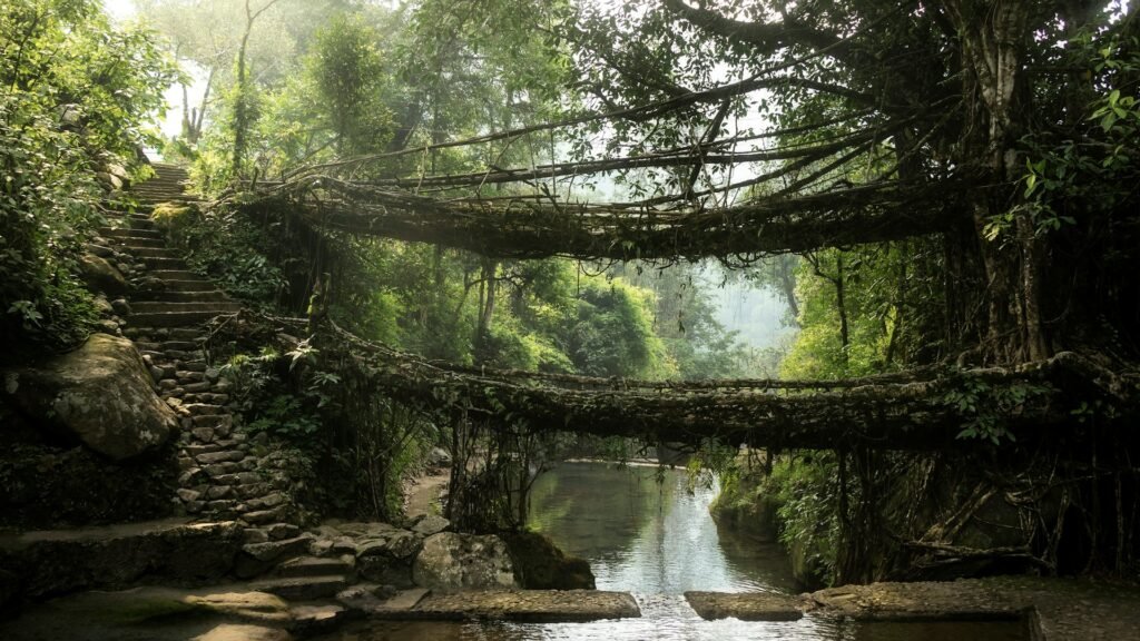 Cherrapunji - Best Time to Visit Meghalaya - Gotrify