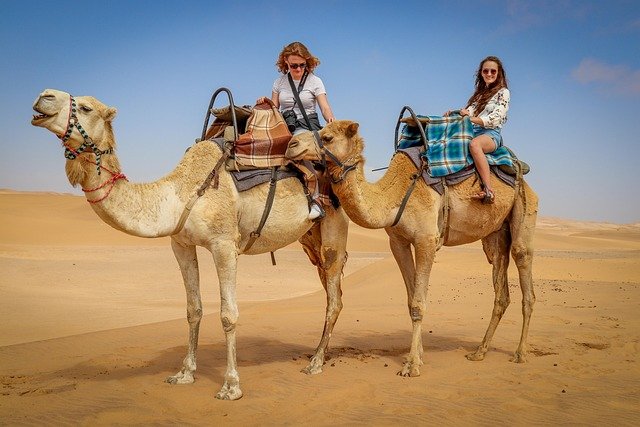 10 Cheapest Countries to Visit from India in 2025 9 UAE – Luxury on a Budget (Dubai & Beyond) gotrify